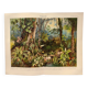 Engraving from 1909 - Tropical forest - Old German plate - Chromolithograph