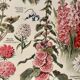 Lithographie sur les fleurs vivaces de 1921