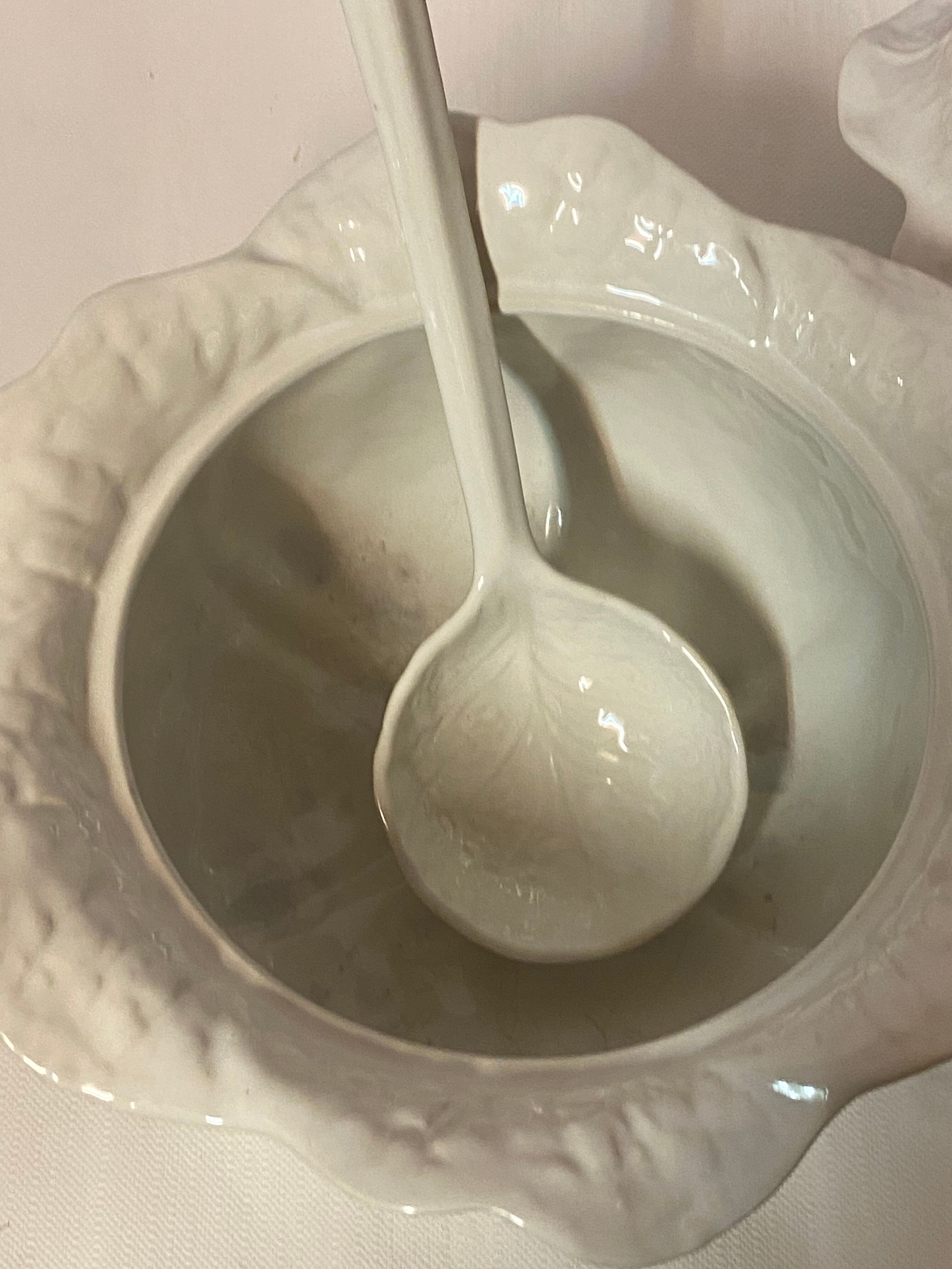 Cabbage soup with ladle