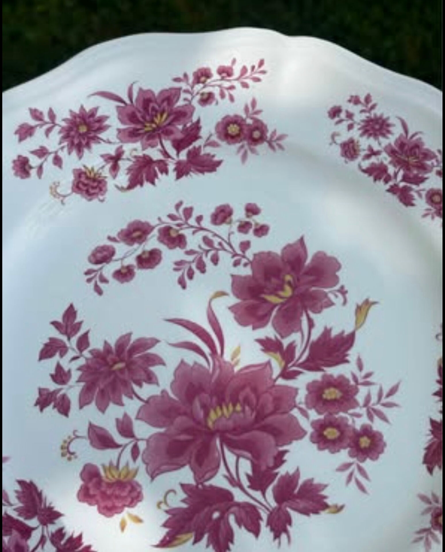 Ensemble de deux assiettes plates anciennes Sarreguemines Aubusson