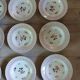 12 plates + 1 Digoin and Sarreguemines dish