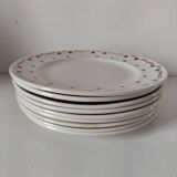 Céranord Saint Amand plates star model