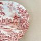 Lot de 5 assiettes Luneville style anglais