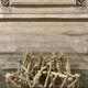 Table basse sculptural bois et verre