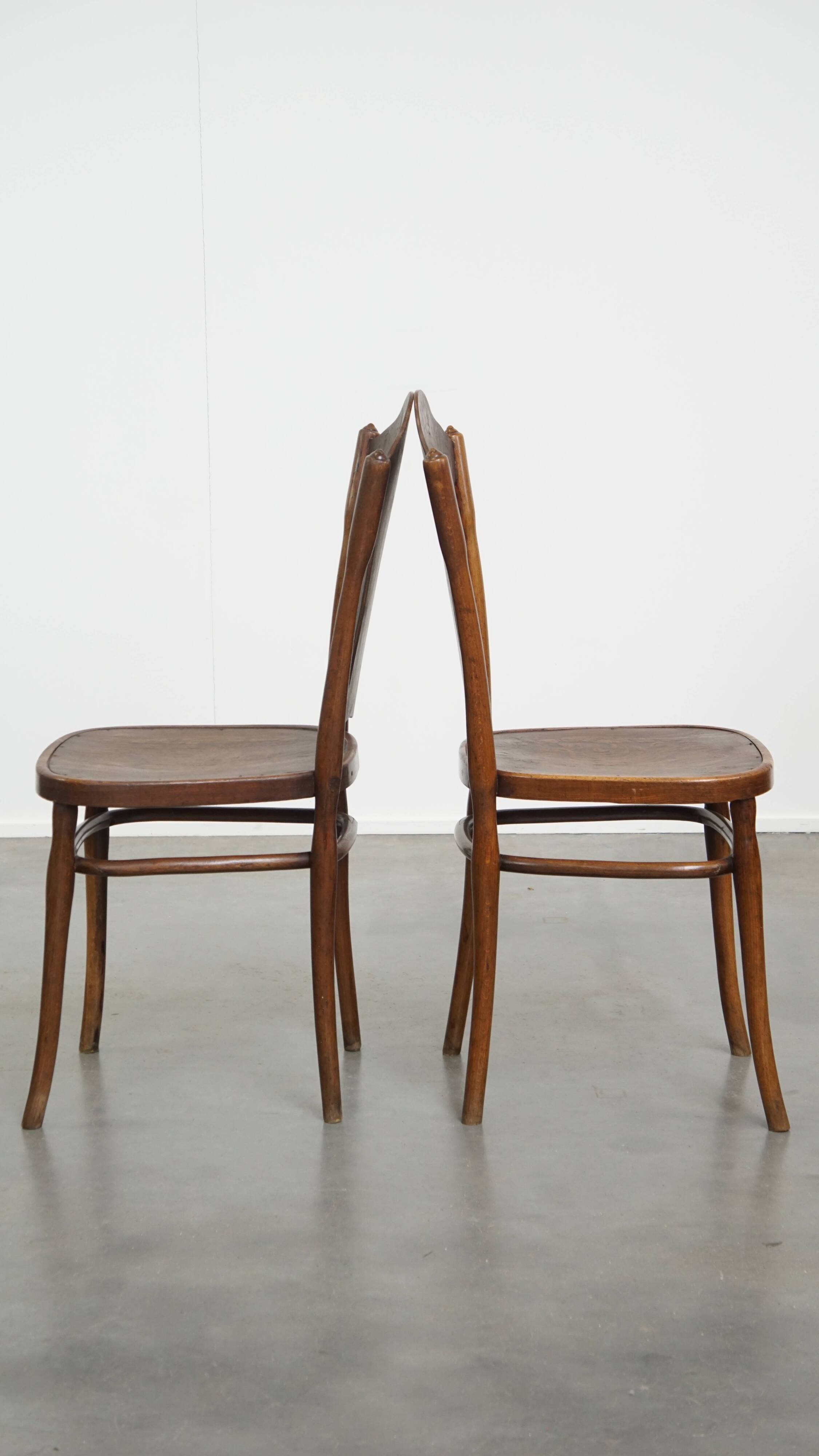Set of 2 Chairs from the Early 20th Century