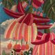 Alain Lefoll canvas tapestry