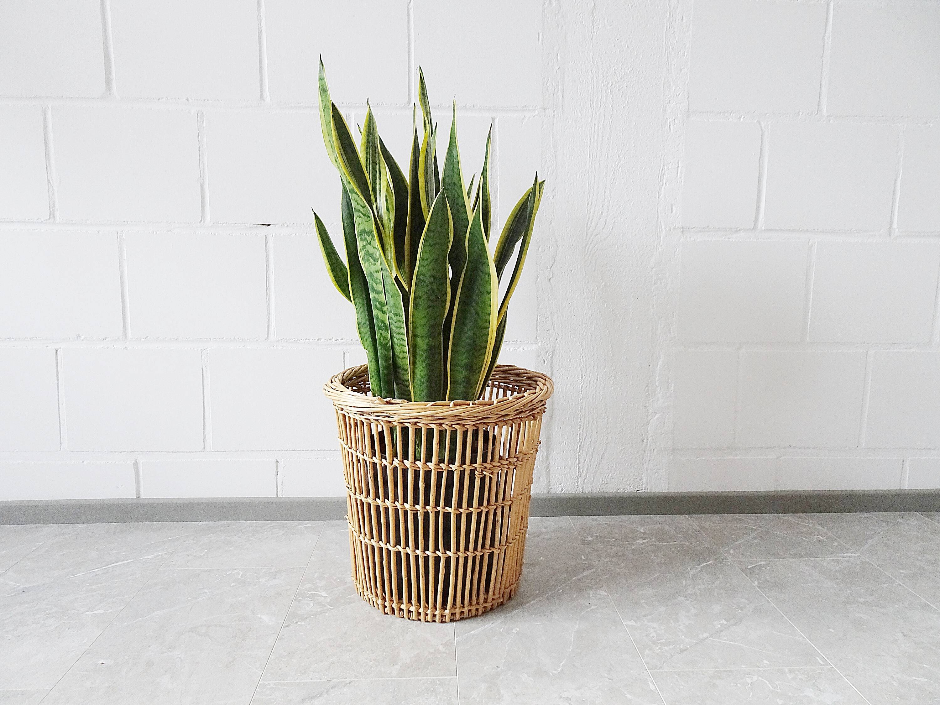 big rattan wastebasket, wicker basket, bamboo basket