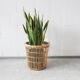 big rattan wastebasket, wicker basket, bamboo basket