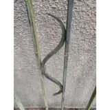 Portail fer forgé 2 battants