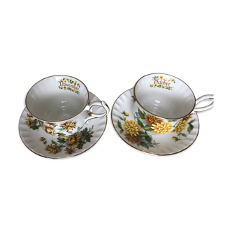 Ensemble de deux grandes tasses en porcelaine