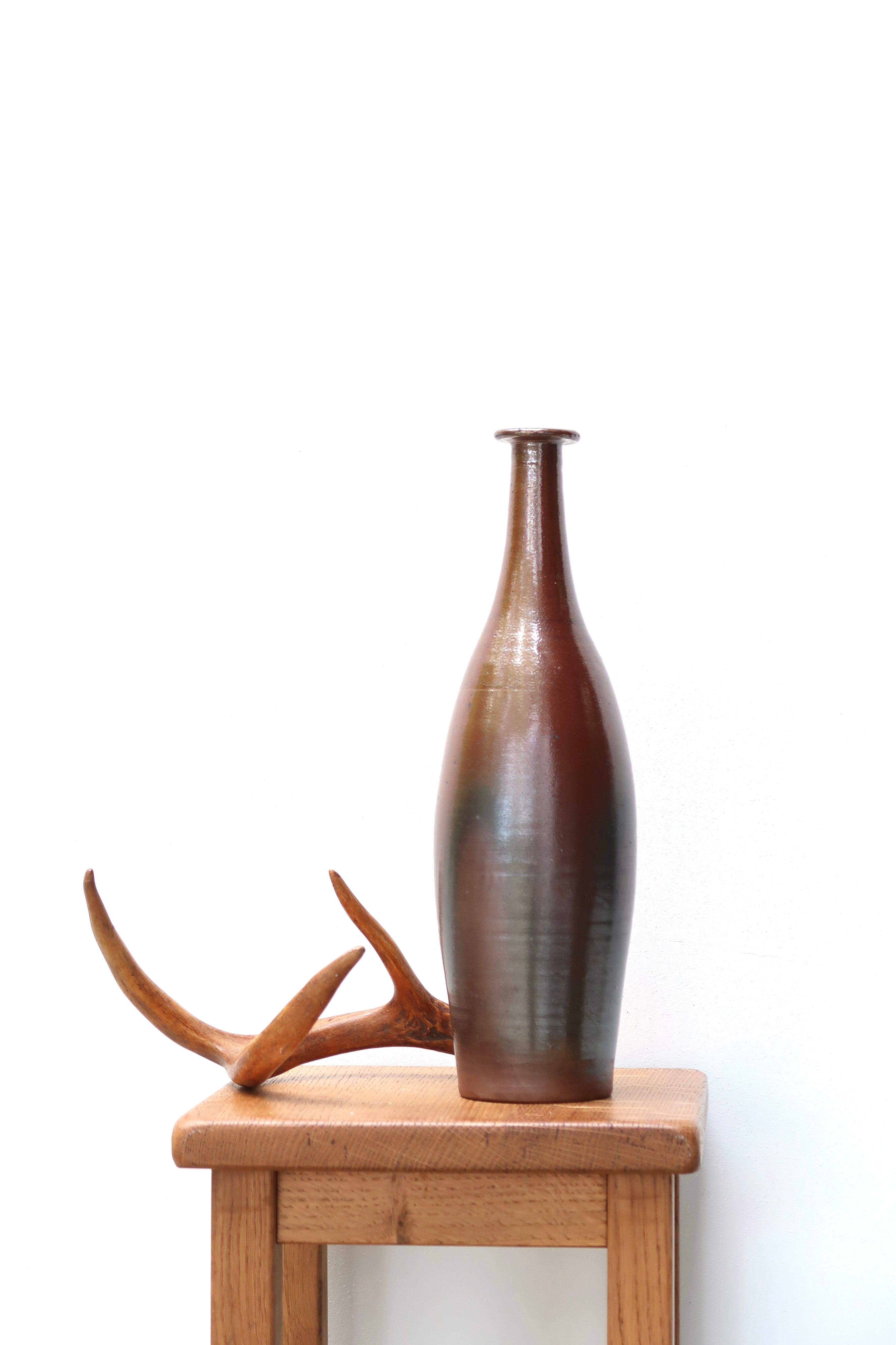 Bois de chevreuil, cabinet de curiosités, vintage