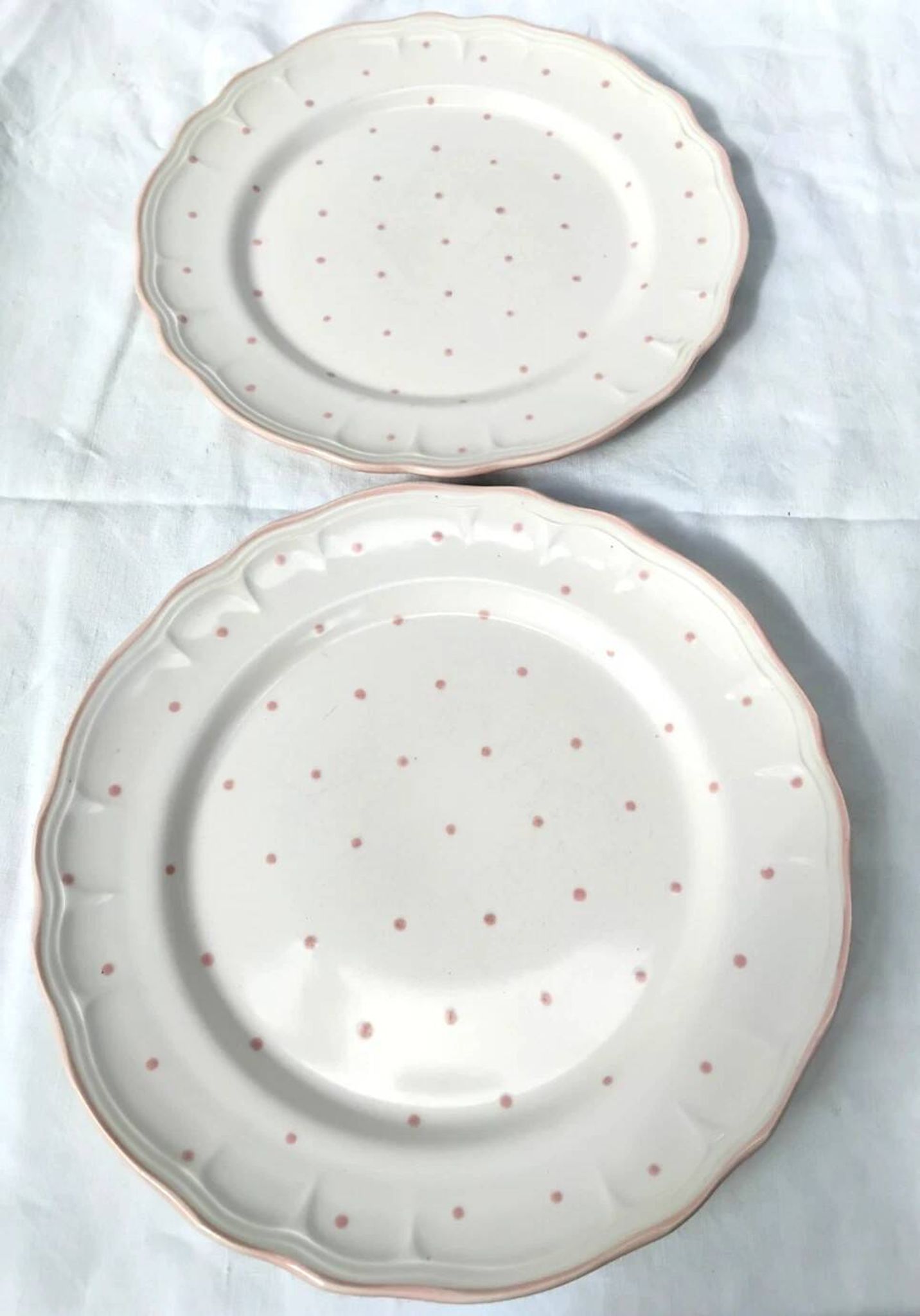 Pair of Vintage Hand-Painted Flat Plates from Salins Les Bains