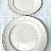 Pair of Vintage Hand-Painted Flat Plates from Salins Les Bains