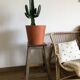 Wooden stool