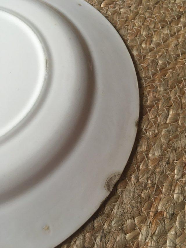 Set old flat plates flowered