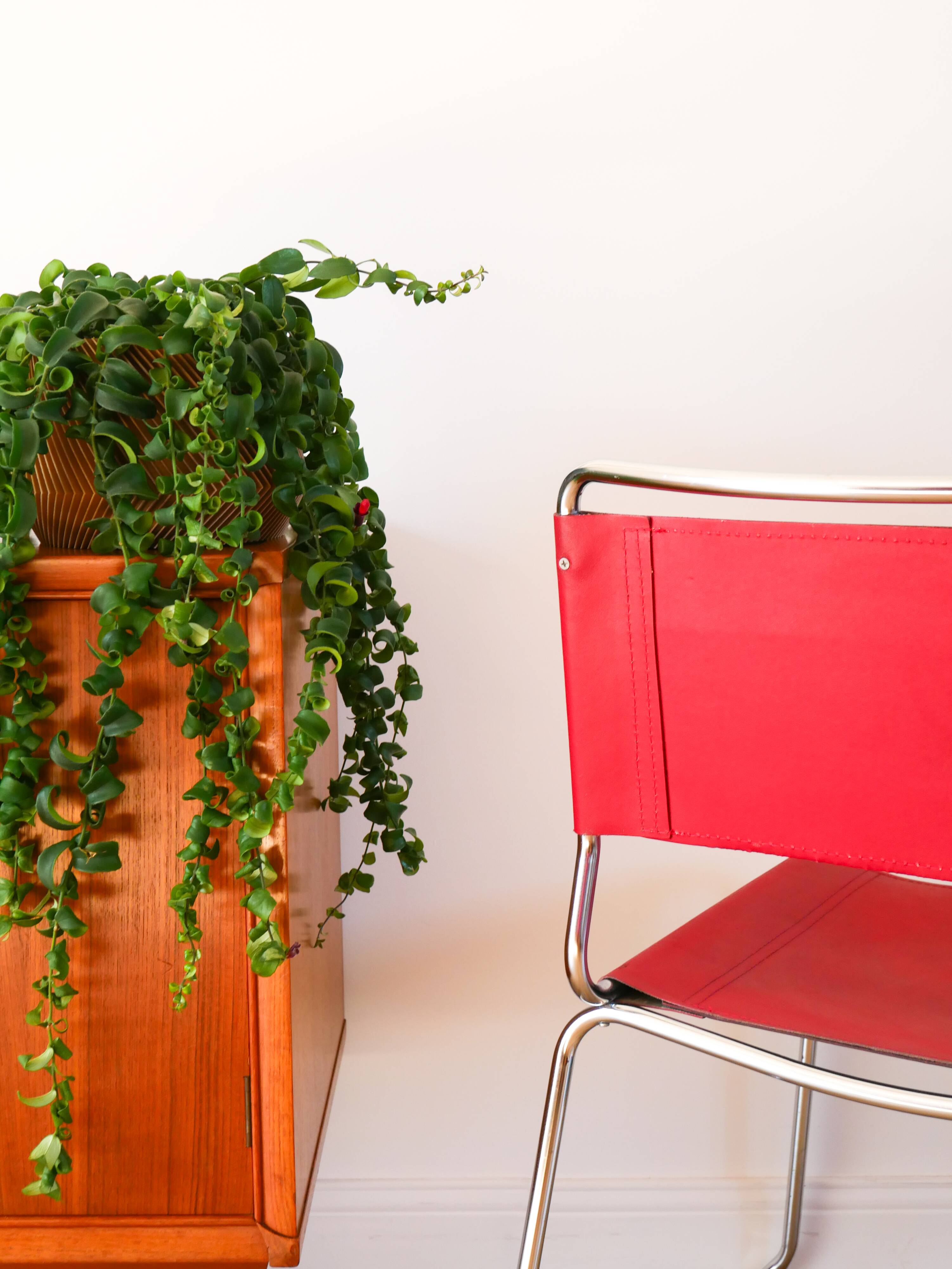 Set of 4 tubular chairs in Red Italy split leather, Design, 1970