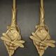 Pair of dragonfly wall sconces from the Art Nouveau period - bronze by Charles Ranc