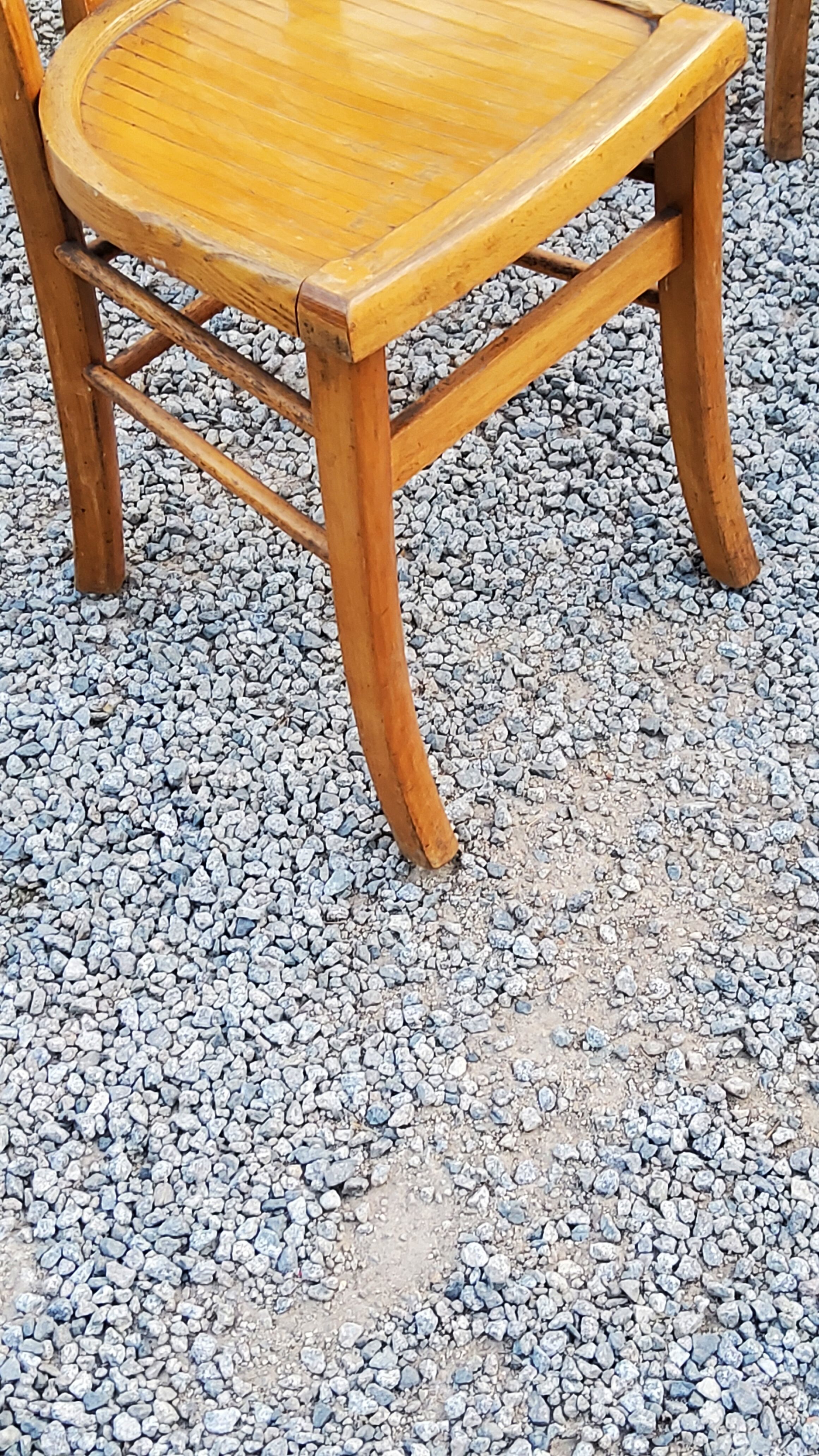 Set of 4 bistro chairs in beech and blond oak from the 50s