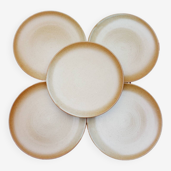 5 CNP Village stoneware plates