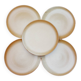 5 CNP Village stoneware plates