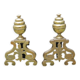 Brass chenets & fleur de lys cast iron