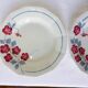 2 assiettes creuses Céranord St Amand modèle Le Printemps (220634)