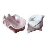 Duo of ceramic shell-shaped storage compartments