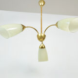 Lustre, années 1950
