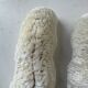 Paire de corail Fungia « coussin de requin »