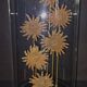 Cabinet of Curiosities globe with starfish heliaster kubiniji