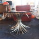 Table basse "Coco Chanel"