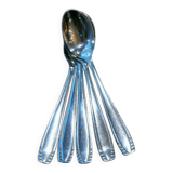 5 teaspoons ercuis