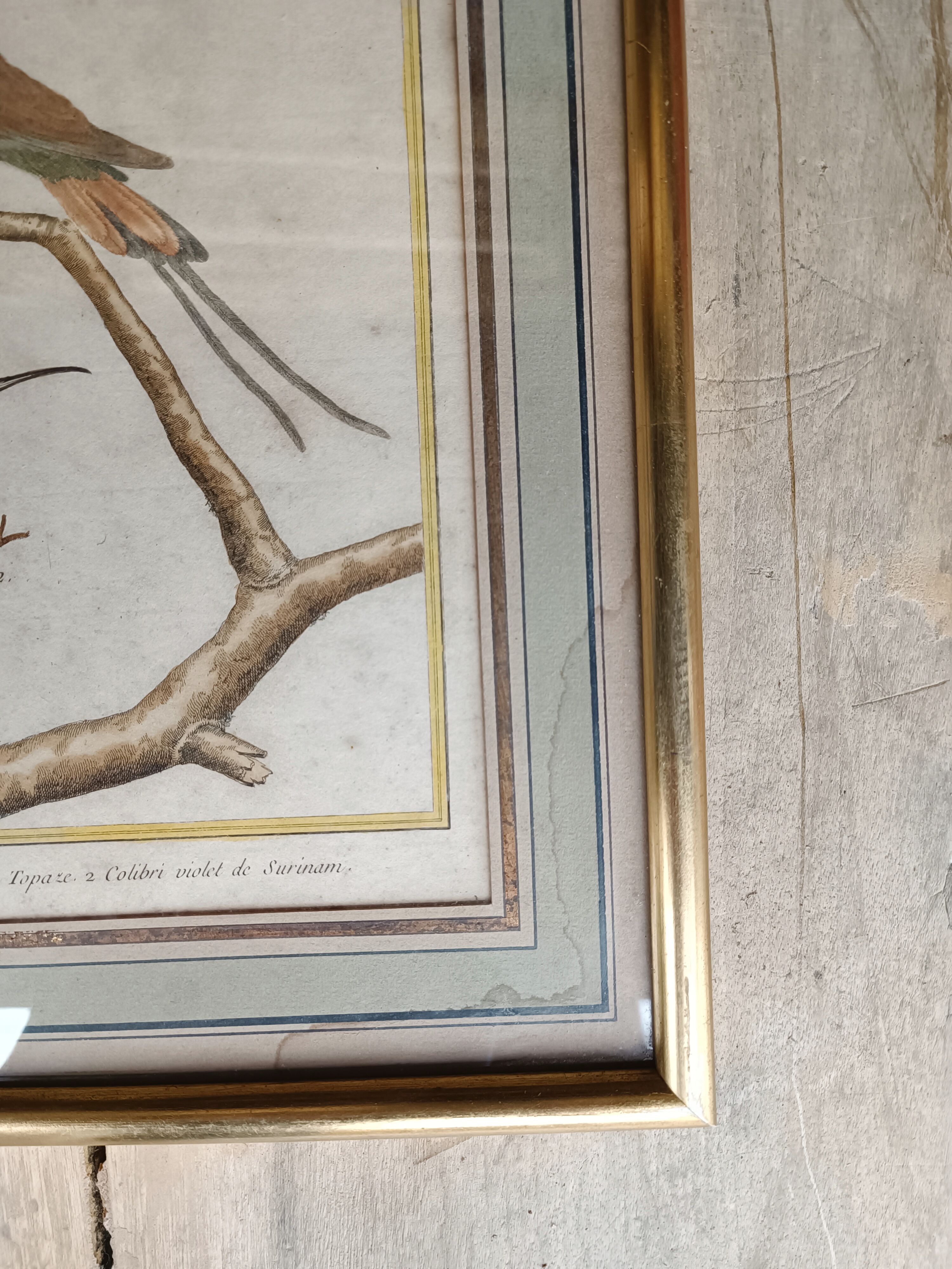 Bird engraving