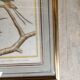 Bird engraving