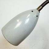 Grey Industrial Gooseneck Table Lamp from Philips, 1960s