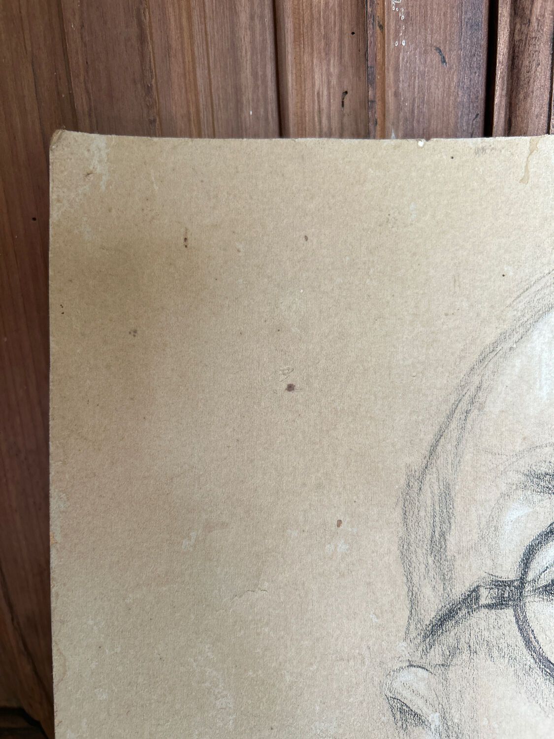Drawing carried Garnier-Salbreux