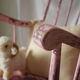 Rocking-chair vintage 50 in pink patina wood