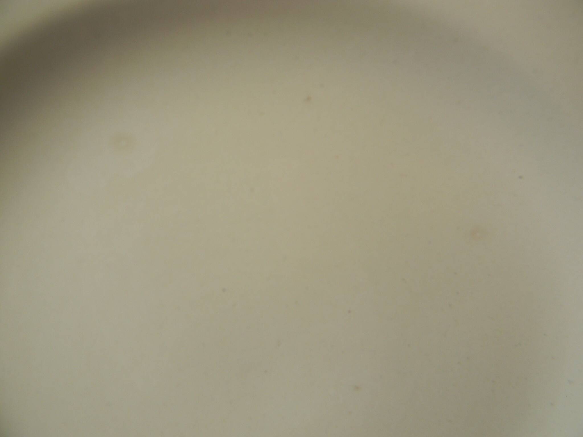 6 assiettes plates en faïence ivoire Digoin Sarreguemines