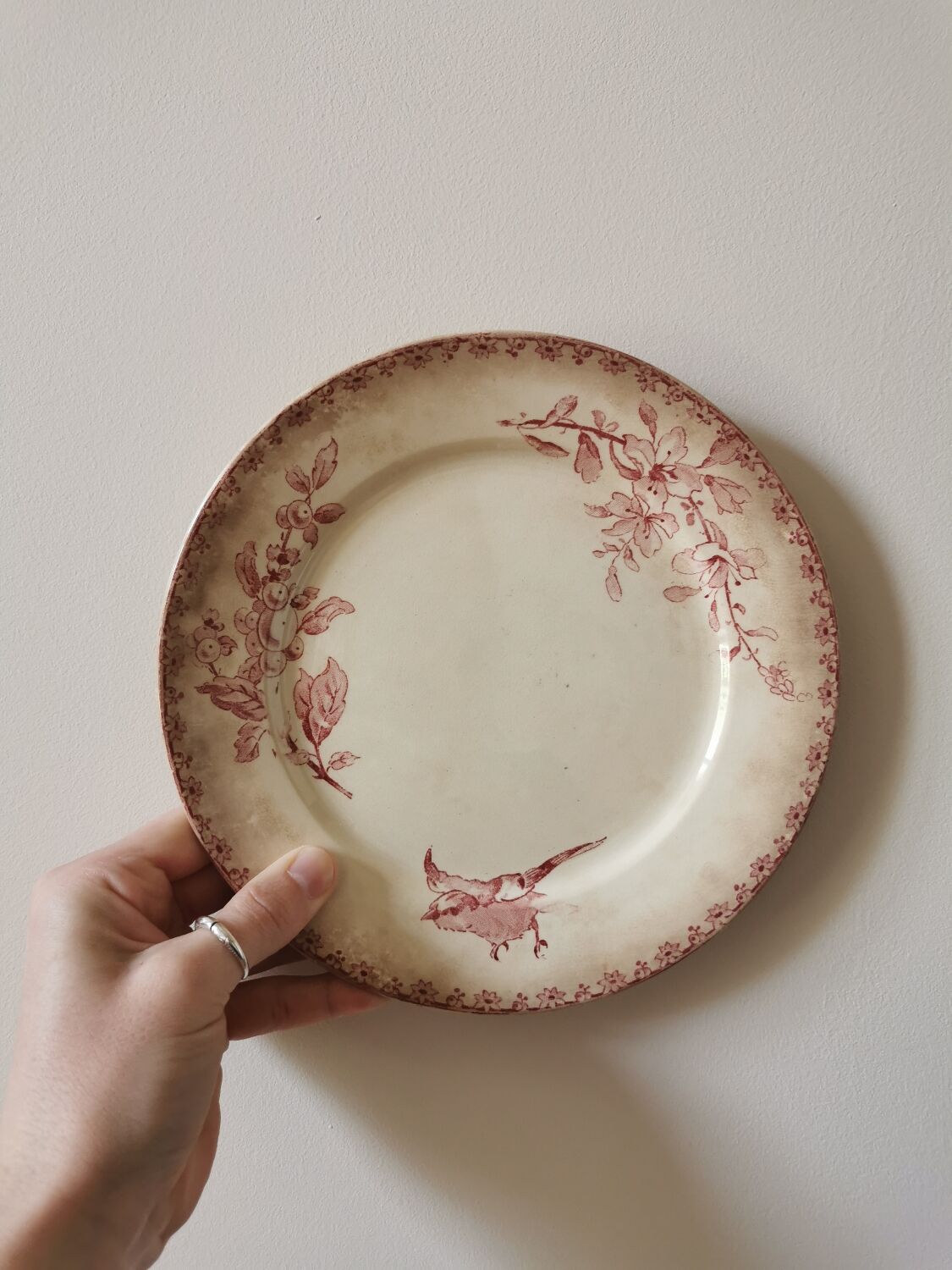 Assiettes anciennes Sarreguemines "Favori"