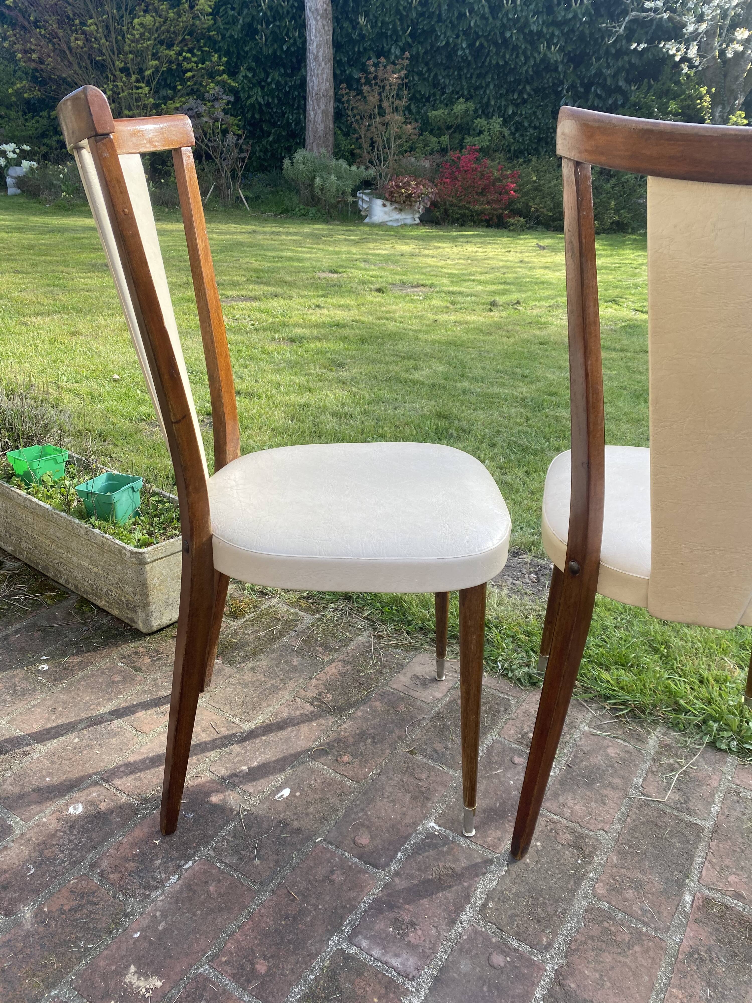 Chaises Baumann palma