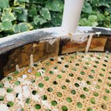 Antique pair of Italian Salvatore Leone chairs