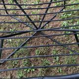Pair of round chairs in black tubular steel 1960