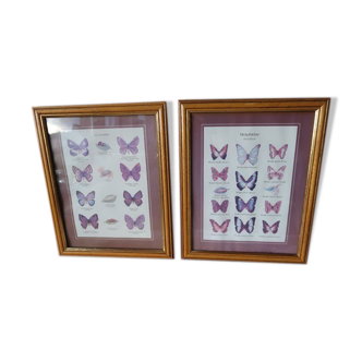 Lot 2 butterfly frames