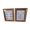 Lot 2 butterfly frames