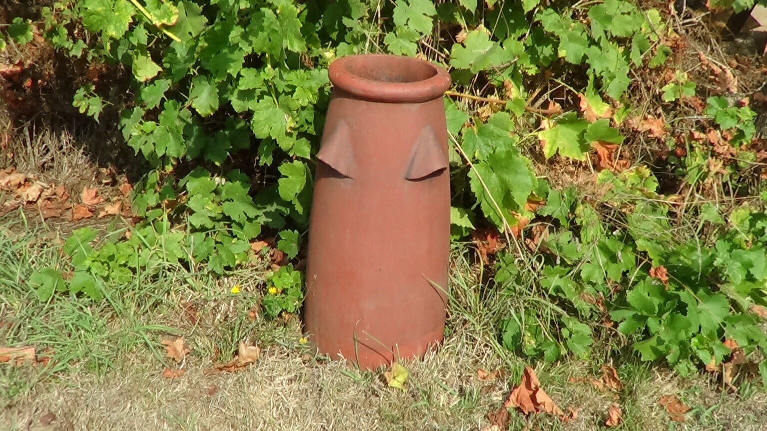 Terracotta garden pot