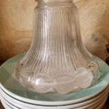Glass holophanous tulip
