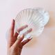Vintage shell cups Arcuisine