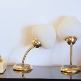 Pair of brass tulip wall lights