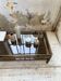 Stoneware herbal tea cup set La Hulotte Caylus