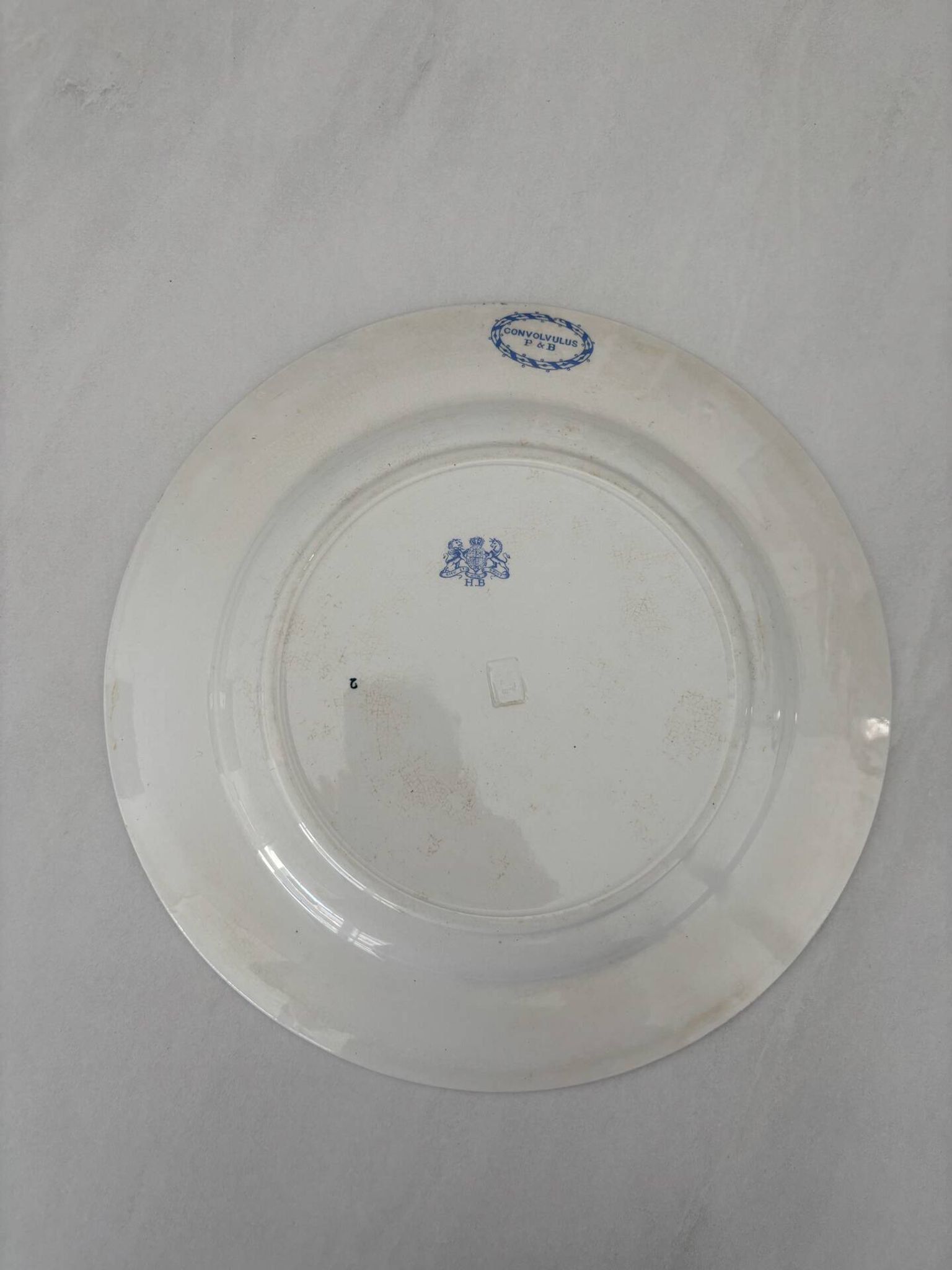 Assiette plate ancienne terre de fer bleu clair HB choisy le roi modèl